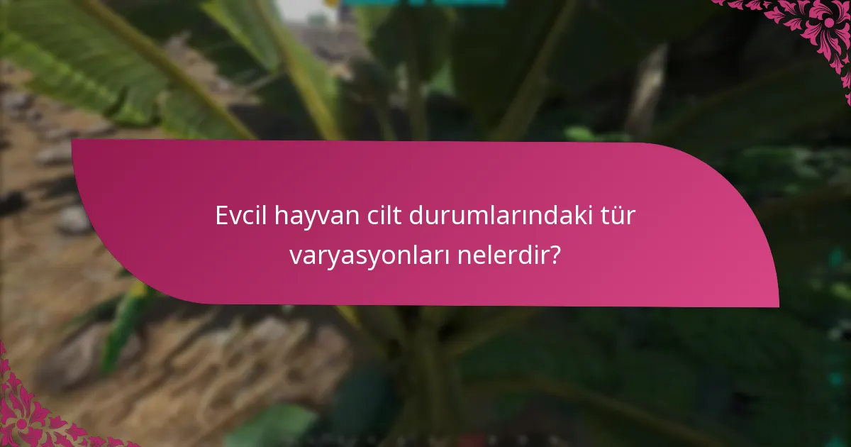 Evcil hayvan cilt talepleri için gereklilikler nelerdir?