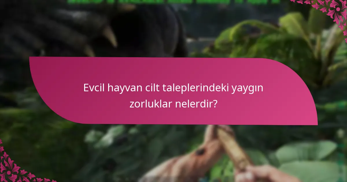 Evcil hayvan cilt taleplerindeki yaygın zorluklar nelerdir?