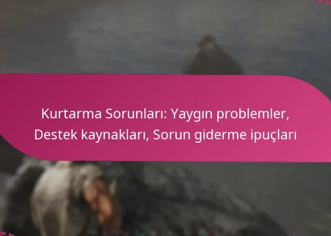 Kurtarma Sorunları: Yaygın problemler, Destek kaynakları, Sorun giderme ipuçları