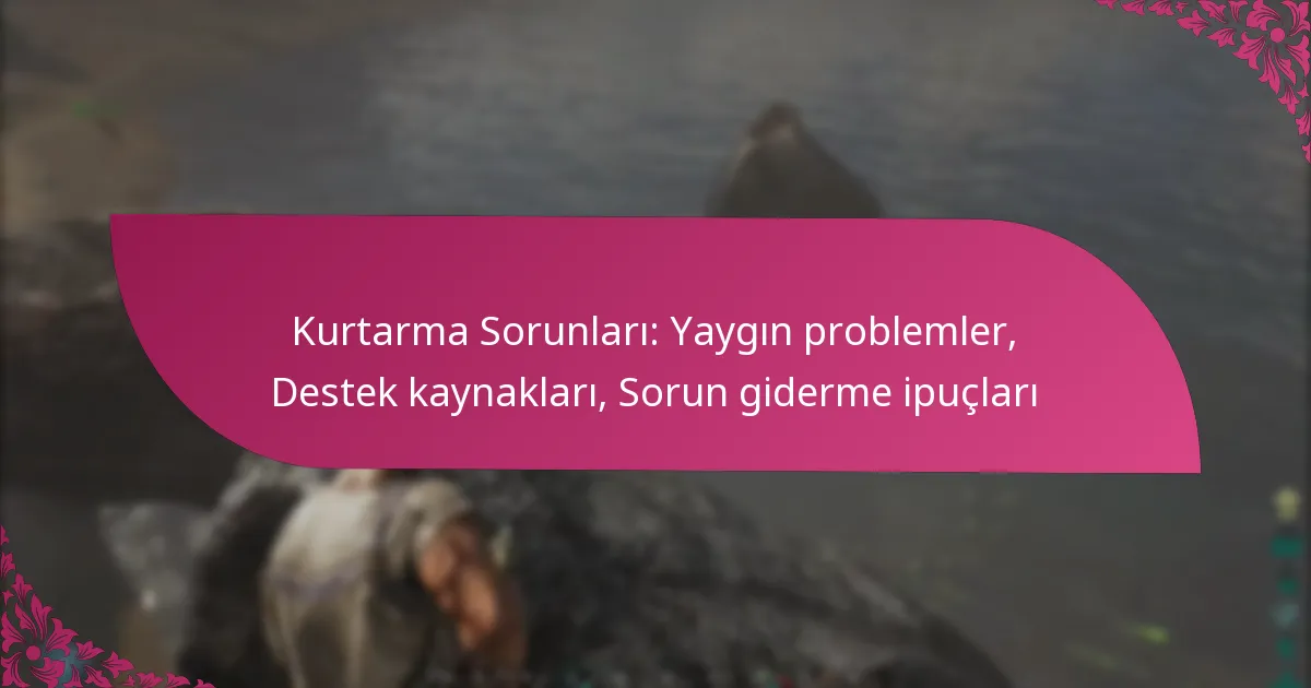 Kurtarma Sorunları: Yaygın problemler, Destek kaynakları, Sorun giderme ipuçları
