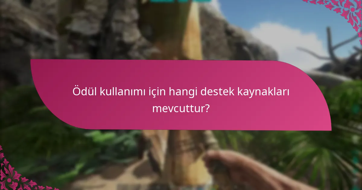 Hangi ödül programları en iyi kullanım deneyimlerini sunar?