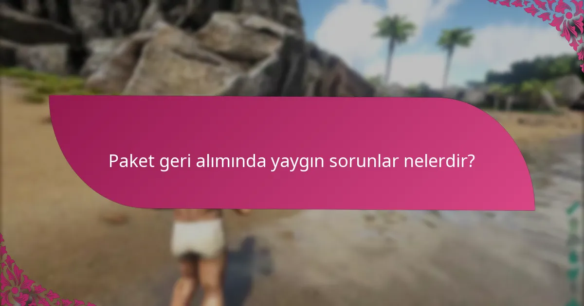 Paket geri alımında yaygın sorunlar nelerdir?
