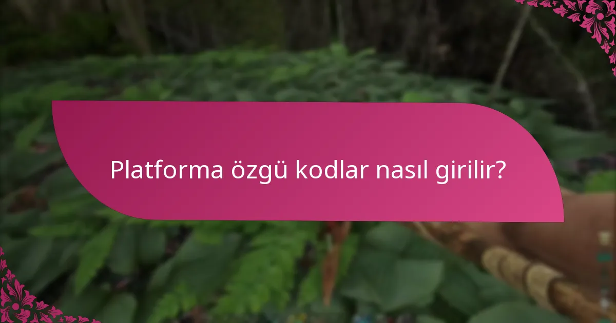 Kod girişi sorunları için yaygın sorun giderme adımları nelerdir?