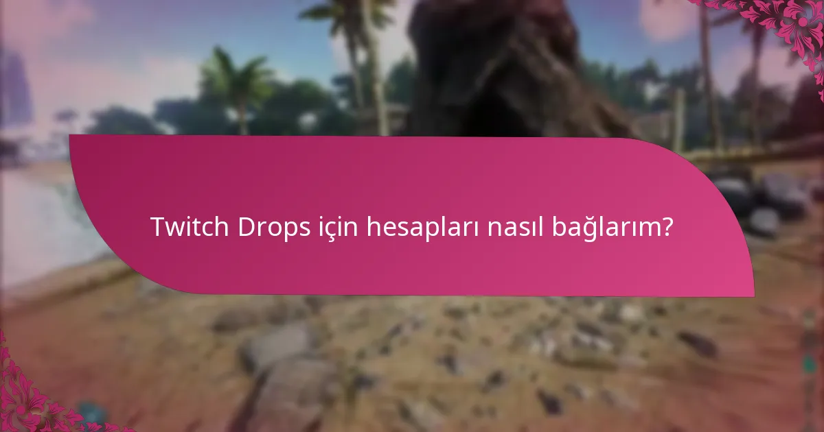 Talep etme sürecindeki potansiyel riskler nelerdir?